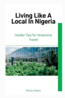 Living Like A Local In Nigeria: Insider Tips for Immersive Travel Cover Image