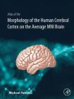 Atlas of the Morphology of the Human Cerebral Cortex on the Average Mni Brain By Michael Petrides Cover Image