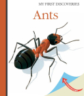 Ants (My First Discoveries) By Rene Mettler Cover Image