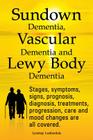 Sundown Dementia, Vascular Dementia and Lewy Body Dementia Explained. Stages, Symptoms, Signs, Prognosis, Diagnosis, Treatments, Progression, Care and By Lyndsay Leatherdale Cover Image