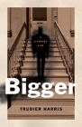Bigger: A Literary Life (Black Lives) Cover Image