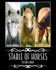 Precious Pictorials Stable Of Horses Picture Book: Horse Photo Book For Adults No Words Books 50 Color Images 8