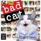 Bad Cat Wall Calendar 2025: Celebrating the Misfits of the Feline World By Harry Prichett, Rob Battles, Richard D. Rosen Cover Image