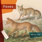 Foxes By Melissa Gish Cover Image