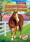 American Quarter Horses (Saddle Up!) By Rachel Grack Cover Image