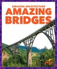 Amazing Bridges By Anita Nahta Amin Cover Image