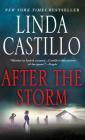 After the Storm: A Kate Burkholder Novel By Linda Castillo Cover Image