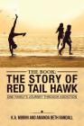 The Book: The Story of Red Tail Hawk: One Family's Journey Through Addiction By K. a. Morini, Amanda Beth Randall Cover Image