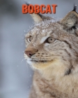 Bobcat: Incredible Pictures and Fun Facts about Bobcat By William Doyle Cover Image