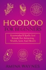 Hoodoo for Beginners: Rootworker's Spells And Rituals For Attracting Wealth, Love And Health By Amina Waynes, Bookstree Publishing (Editor) Cover Image