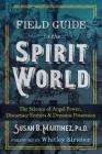 Field Guide to the Spirit World: The Science of Angel Power, Discarnate Entities, and Demonic Possession By Susan B. Martinez, Ph.D., Whitley Strieber (Foreword by) Cover Image
