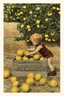 Vintage Journal Child with Crate of Grapefruit By Found Image Press (Producer) Cover Image
