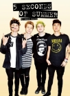 5 Seconds of Summer: All Exposed By Mick O'Shea Cover Image
