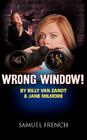 Wrong Window Cover Image