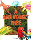 A Rain Forest Tree (Small Worlds) Cover Image