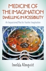 Medicine of the Imagination: Dwelling in Possibility: An Impassioned Plea for Fearless Imagination By Imelda Almqvist Cover Image