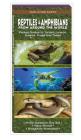 Reptiles & Amphibians from Around the World: Pocket Guides to Turtles, Lizards, Snakes, Frogs and Toads Cover Image