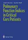 Pulmonary Function Indices in Critical Care Patients Cover Image