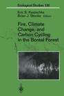 Fire, Climate Change, and Carbon Cycling in the Boreal Forest (Ecological Studies #138) By Eric S. Kasischke (Editor), Brian J. Stocks (Editor) Cover Image
