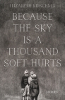 Because the Sky is a Thousand Soft Hurts Cover Image
