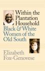 Within the Plantation Household: Black and White Women of the Old South (Gender and American Culture) By Elizabeth Fox-Genovese Cover Image