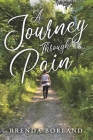 A Journey Through Pain By Brenda Borland Cover Image
