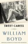 Sweet Caress: The Many Lives of Amory Clay By William Boyd Cover Image