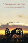 A Private and Her Foes: A Novel of the American Civil War By Mark Gallik Cover Image