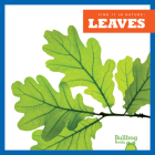 Leaves By Jenna Lee Gleisner Cover Image