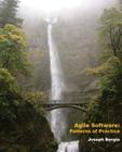 Agile Software: Patterns of Practice Cover Image