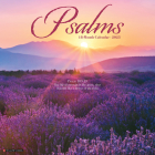 Psalms 2023 Wall Calendar By Willow Creek Press Cover Image
