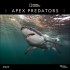 National Geographic: Apex Predators 2025 Wall Calendar By National Geographic, Disney Cover Image