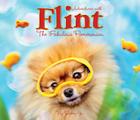 Flint the Fabulous Pomeranian By Robin Yu Cover Image