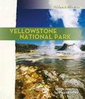 The Amazon Rain Forest (Nature's Wonders) By Ann Heinrichs Cover Image