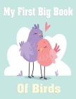 My First Big Book of Birds: Children's Activity & coloring Books For Boy & girl, Dot & Dot, Match the Halves and Crossword Gift For kids toddlers By The First Big Book Cover Image