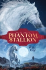 The Wild One (Phantom Stallion #1) By Terri Farley, Francesca Baerald (Illustrator) Cover Image