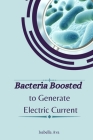 Bacteria Boosted to Generate Electric Current By Isabella Ava Cover Image