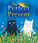 The Perfect Present By Petr Horácek Cover Image