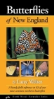 Butterflies of New England (Naturalist) By Larry Weber Cover Image