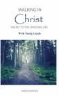Walking in Christ: The Key to the Christian Life By Jared Baergen Cover Image