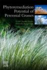 Phytoremediation Potential of Perennial Grasses By Vimal Chandra Pandey, D. P. Singh Cover Image