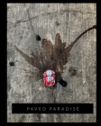 Paved Paradise: a look at what is left behind Cover Image
