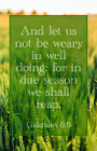 General Worship Bulletin: We Shall Reap (Package of 100): Galatians 6:9 (KJV) By Broadman Church Supplies Staff (Contributions by) Cover Image