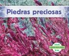 Piedras Preciosas (Gems) (Spanish Version) Cover Image