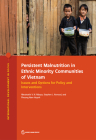 Persistent Malnutrition in Ethnic Minority Communities of Vietnam: Issues and Options for Policy and Interventions (International Development in Focus) Cover Image