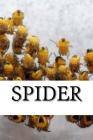 Spider (Spiders #1) By Spider Cover Image