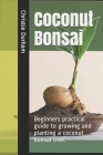 Coconut Bonsai: Beginners practical guide to growing and planting a coconut bonsai tree. Cover Image