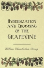 Hybridization and Crossing of the Grapevine Cover Image