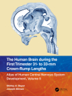 The Human Brain During the First Trimester 31- To 33-MM Crown-Rump Lengths: Atlas of Human Central Nervous System Development, Volume 5 Cover Image
