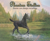 Phantom Stallion: Rain Dance By Terri Farley, Natalie Budig (Narrator) Cover Image